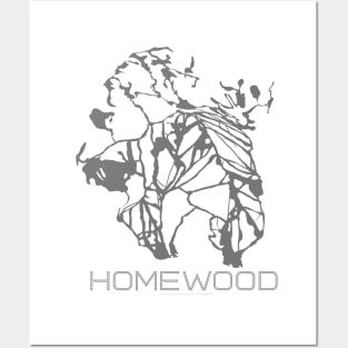 Homewood Resort 3D Posters and Art